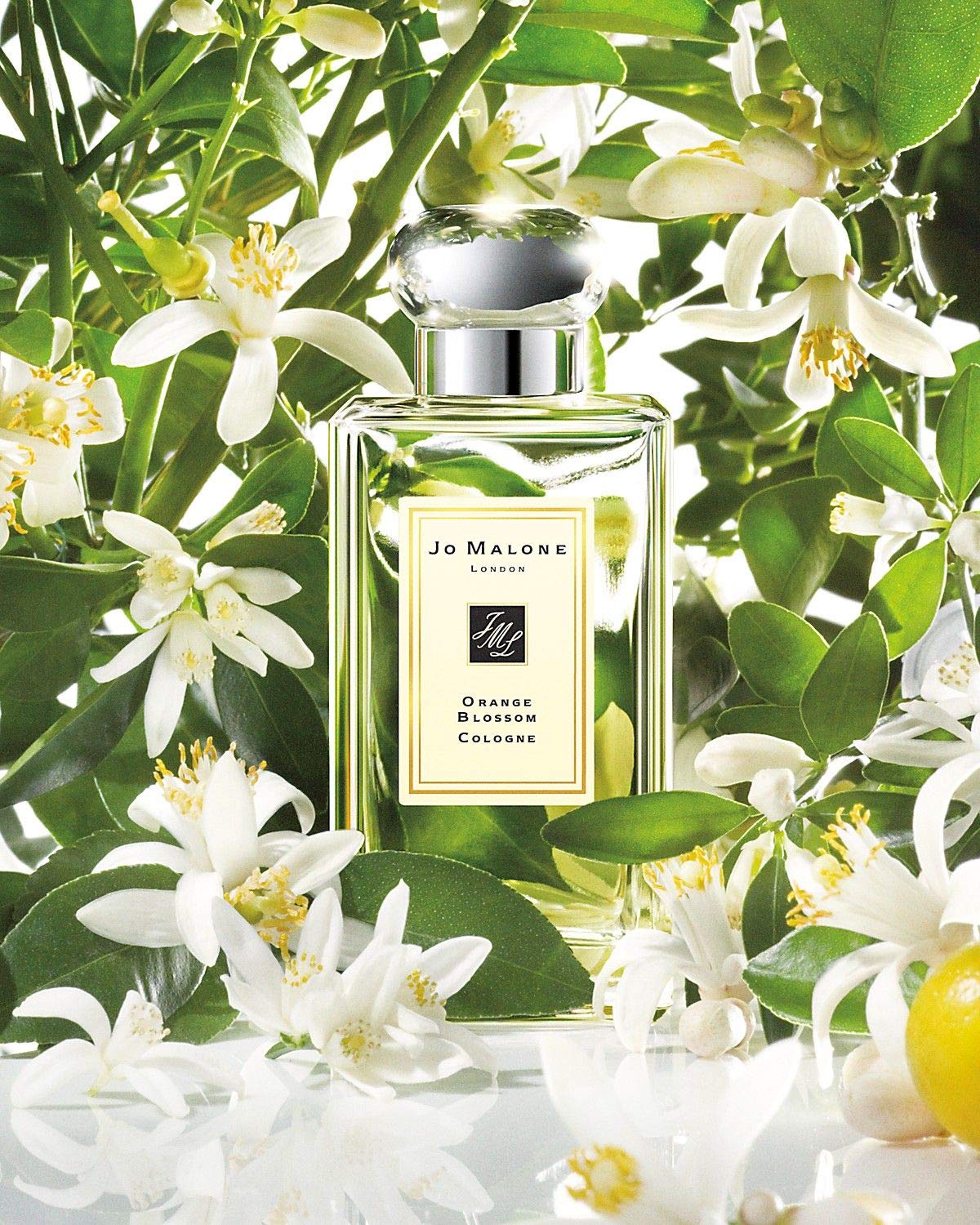 Jo Malone Orange Blossom Cologne Spray 100ml / 3.4oz - Fresh Floral Perfume for Women & Men, Luxury Gift Set with Elegant Box | Perfect for Daily Wear, Special Occasions & Romantic Dates
