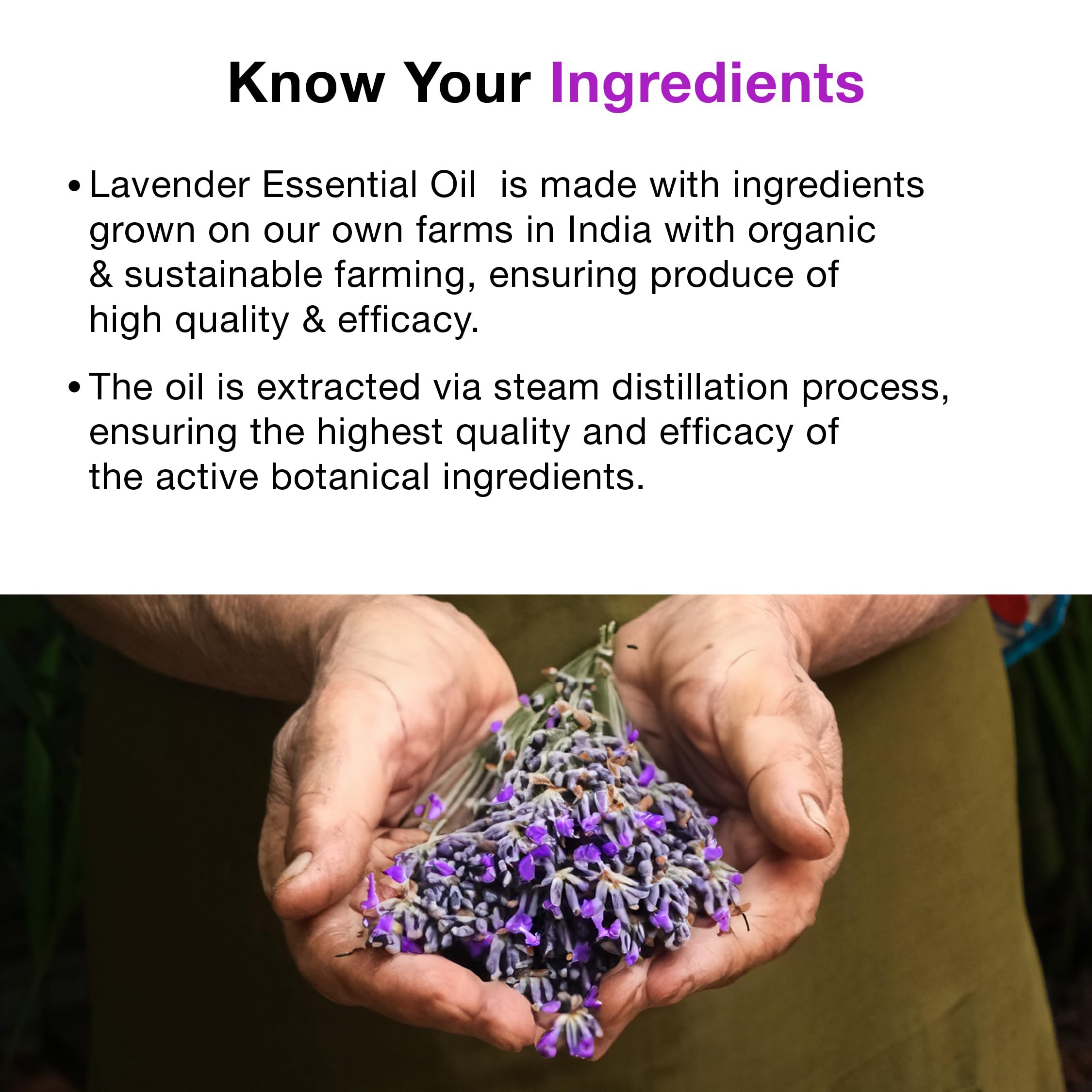 Soulflower 100% Pure Organic Lavender Essential Oil - Natural Aromatherapy for Hair, Skin & Body Care - Premium Quality, Ecocert Cosmos Certified (1 fl oz) - Perfect for Diffusers, Massage & Relaxation Therapy