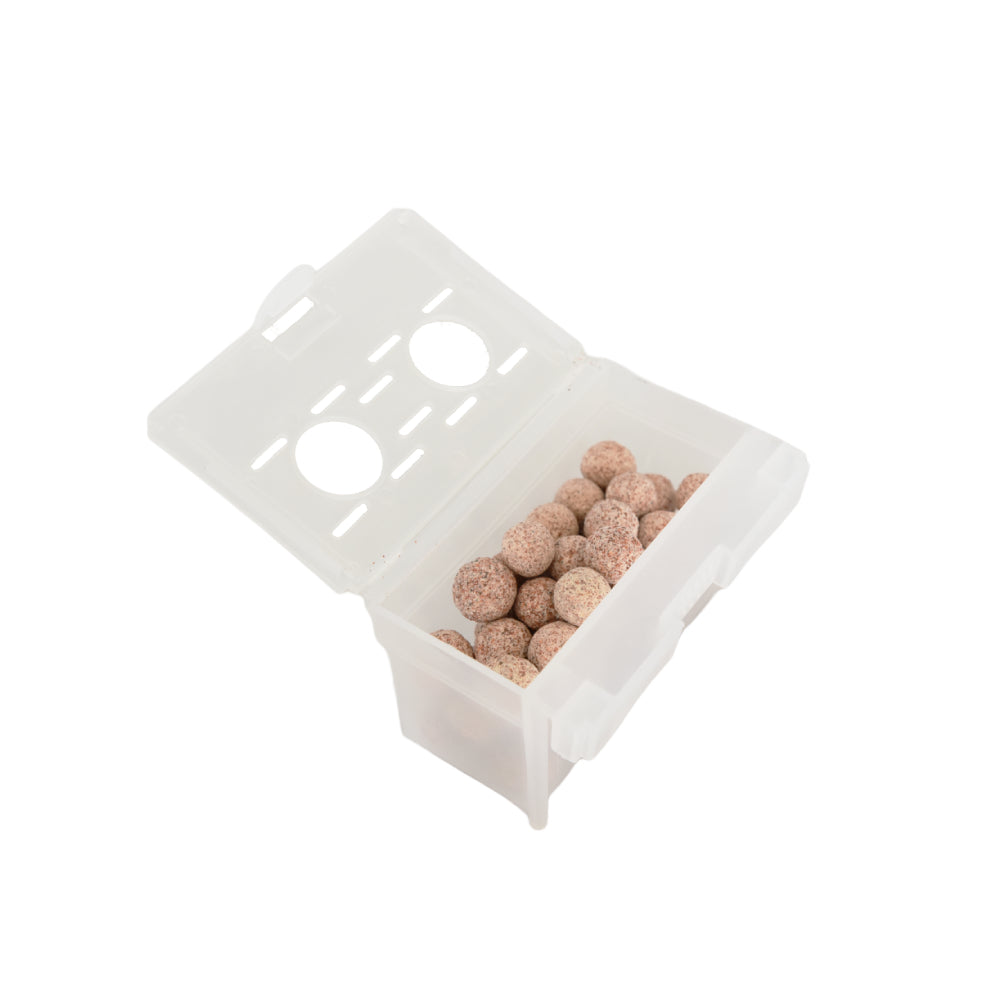 12L Small White Nano Fish Tank for Kids - Perfect for Bedrooms, Classrooms & Small Spaces