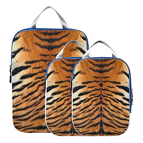 Leopard 01