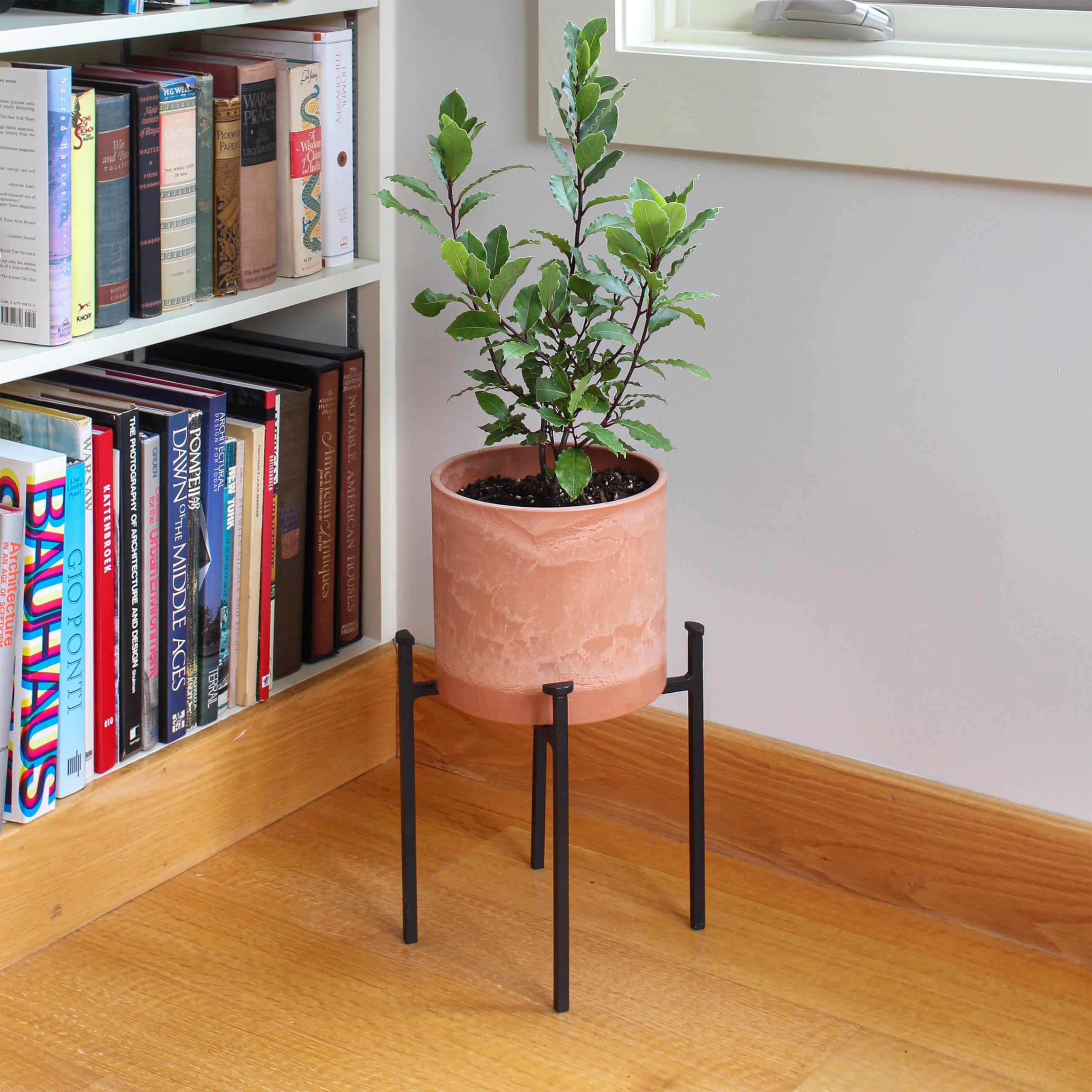 Achla Designs FB-64 Solaria Collection Eileen Plant Stand - Modern Indoor/Outdoor Flower Pot Holder for Patio, Garden & Home Decor