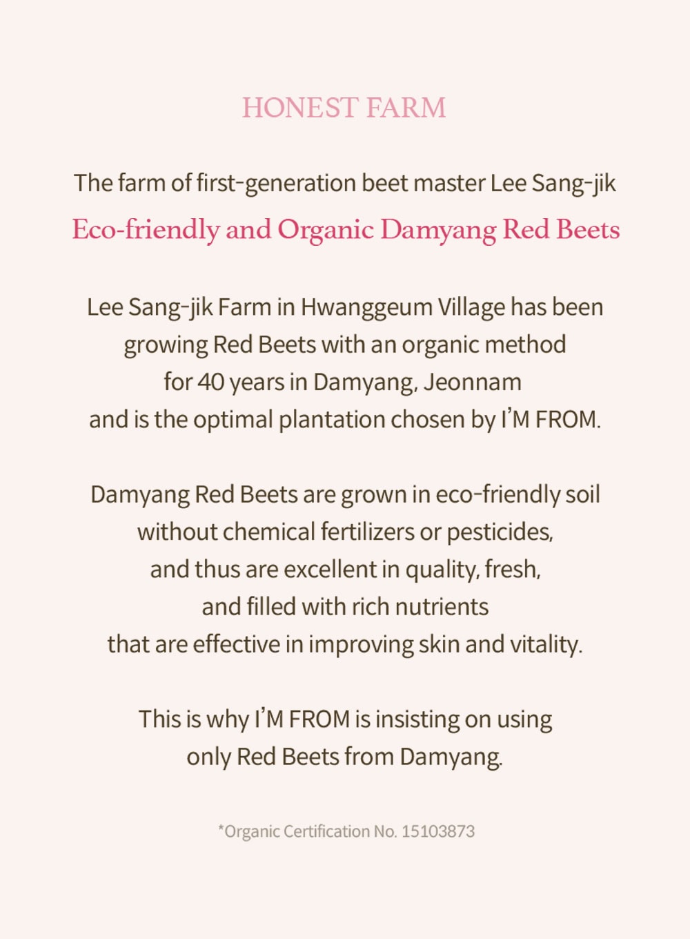 Beet Purifying Face Mask (110g) - Deep Cleansing & Detoxifying for Glowing Skin - Perfect for Acne-Prone & Oily Skin Care Routine
