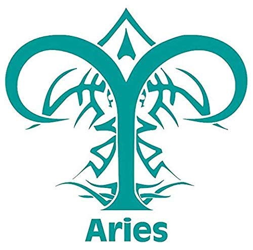 The Aries Adventure: A Story of Passion and Personalization