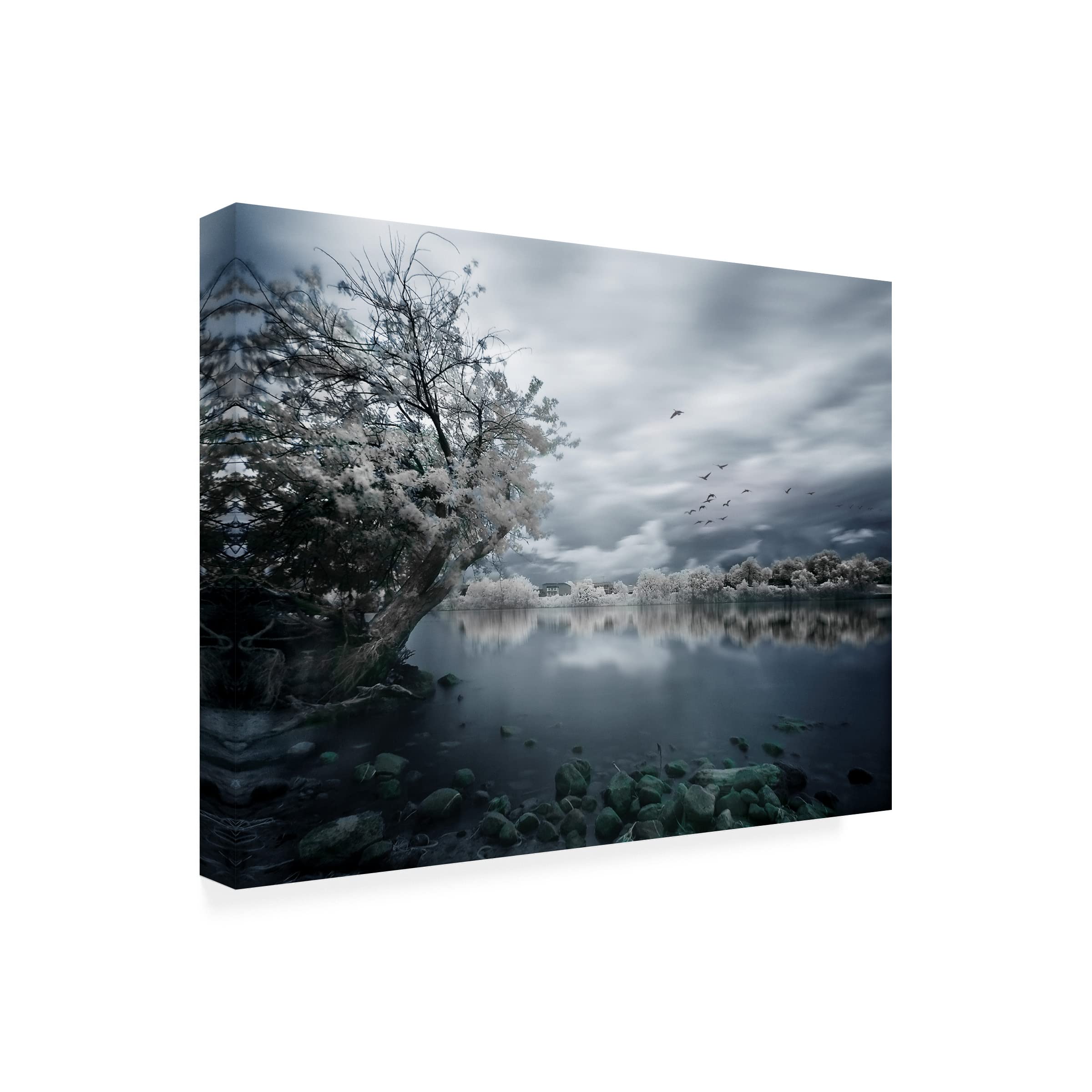 Trademark Fine Art 'Migration Coastline' Canvas Wall Art Print by David Senechal Photography - Coastal Decor for Living Room, Bedroom & Office