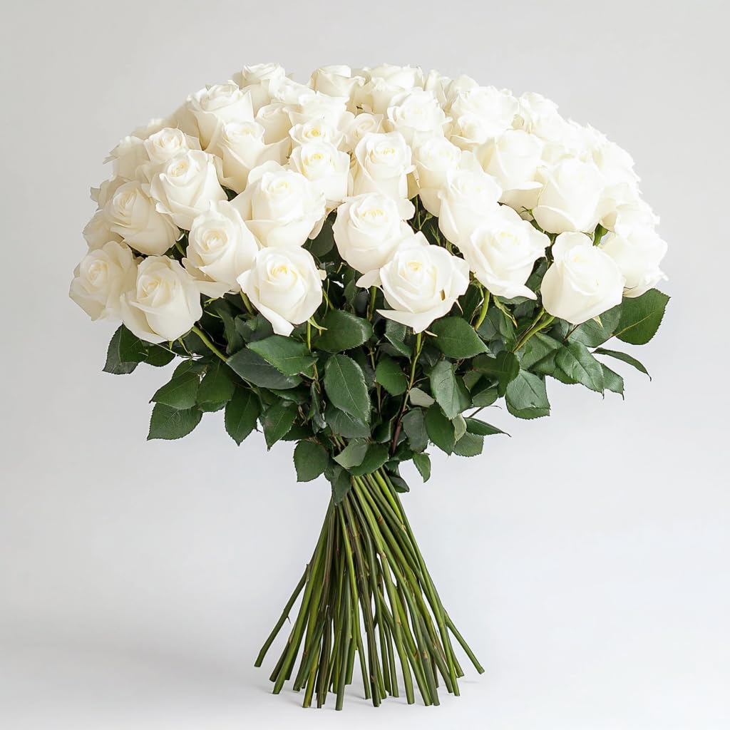 50 Fresh Cut White Roses Bouquet - Birthday, Anniversary Gift & Home Decor Flowers | Premium Flower Delivery for Weddings, Valentine's Day & Special Occasions