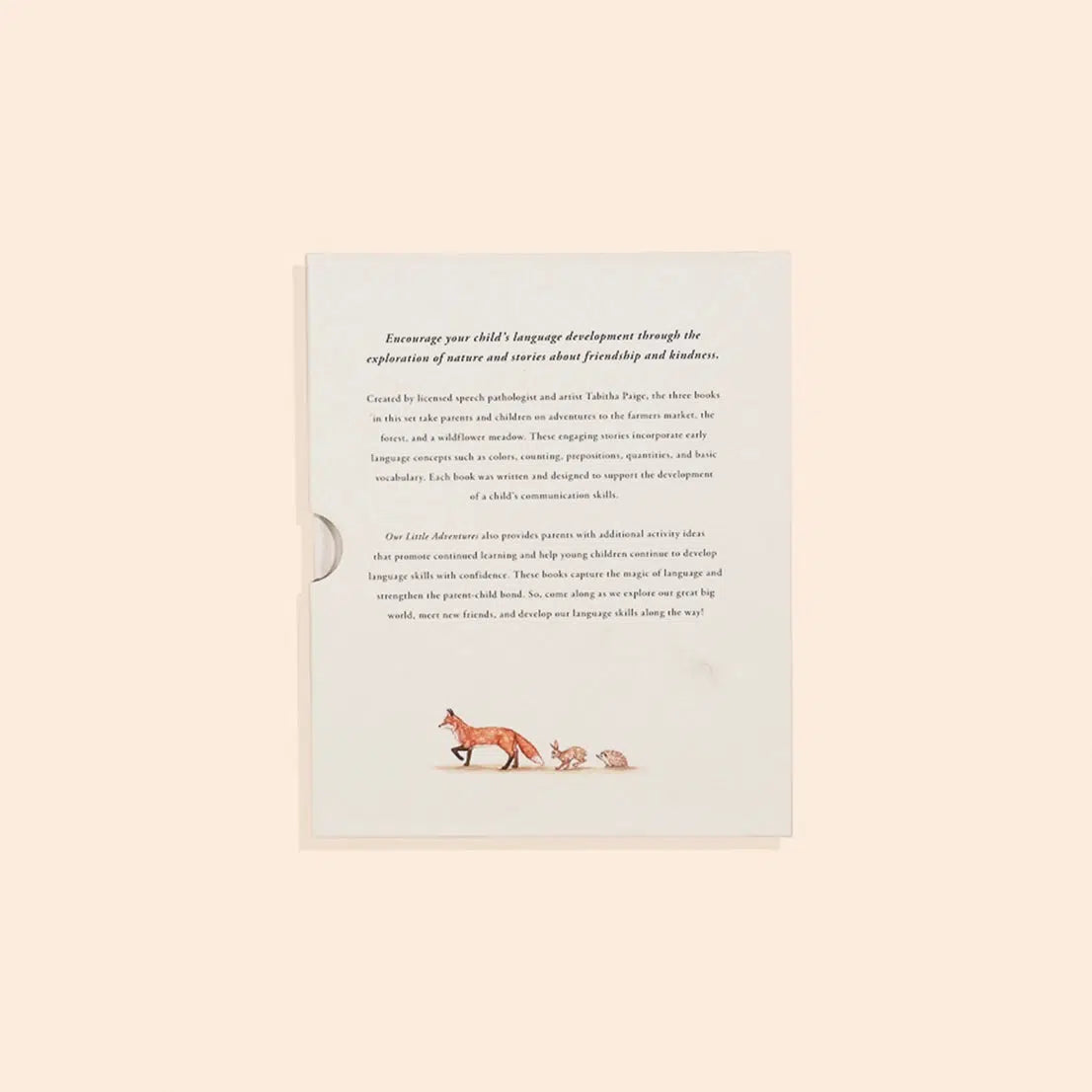 Our Little Adventures Box Set by Paige Tate & Co. – Fun & Educational Activity Books for Kids – Perfect for Storytime, Travel & Learning at Home