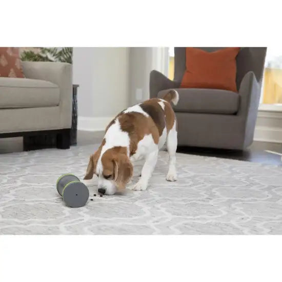 PetSafe Kibble Chase Electronic Dog Toy - Interactive Treat Dispenser for Small & Large Dogs - Fun Indoor & Outdoor Play for Active Pets