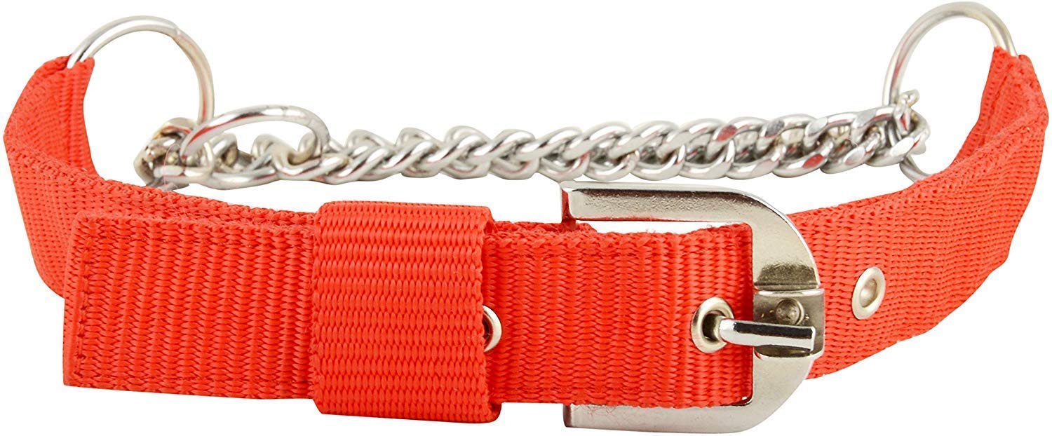 PSK PET MART Half Chain Dog Collar - 1.25 Inch Large Nylon Choker Collar with Stainless Steel for Medium to Large Dogs - Adjustable Pet Training Collar (Color May Vary) - Perfect for Walking, Training & Outdoor Activities