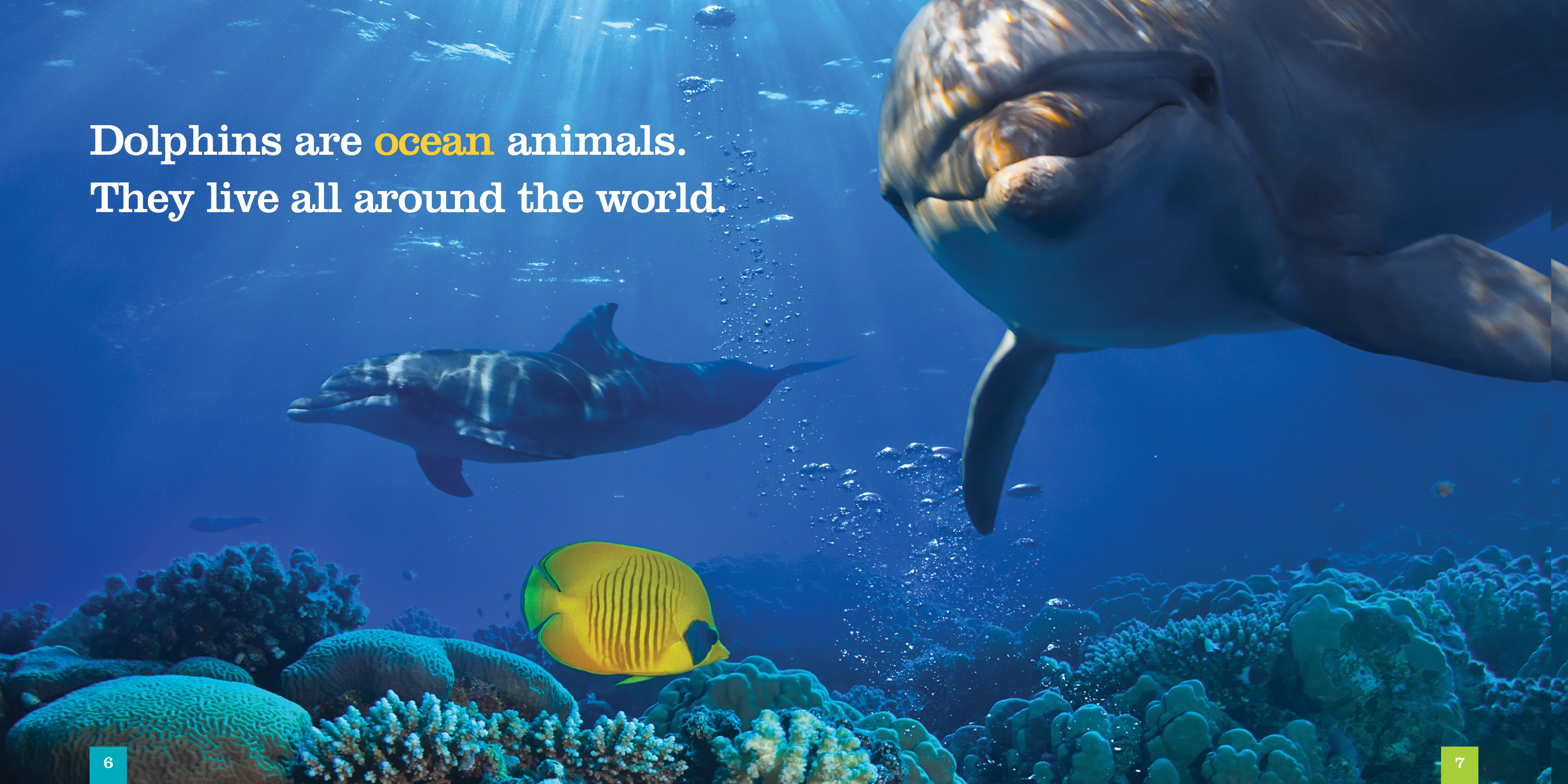 Dolphins Book ISBN 9781608182749 - Marine Life Guide for Kids & Adults, Perfect for School Projects & Ocean Enthusiasts