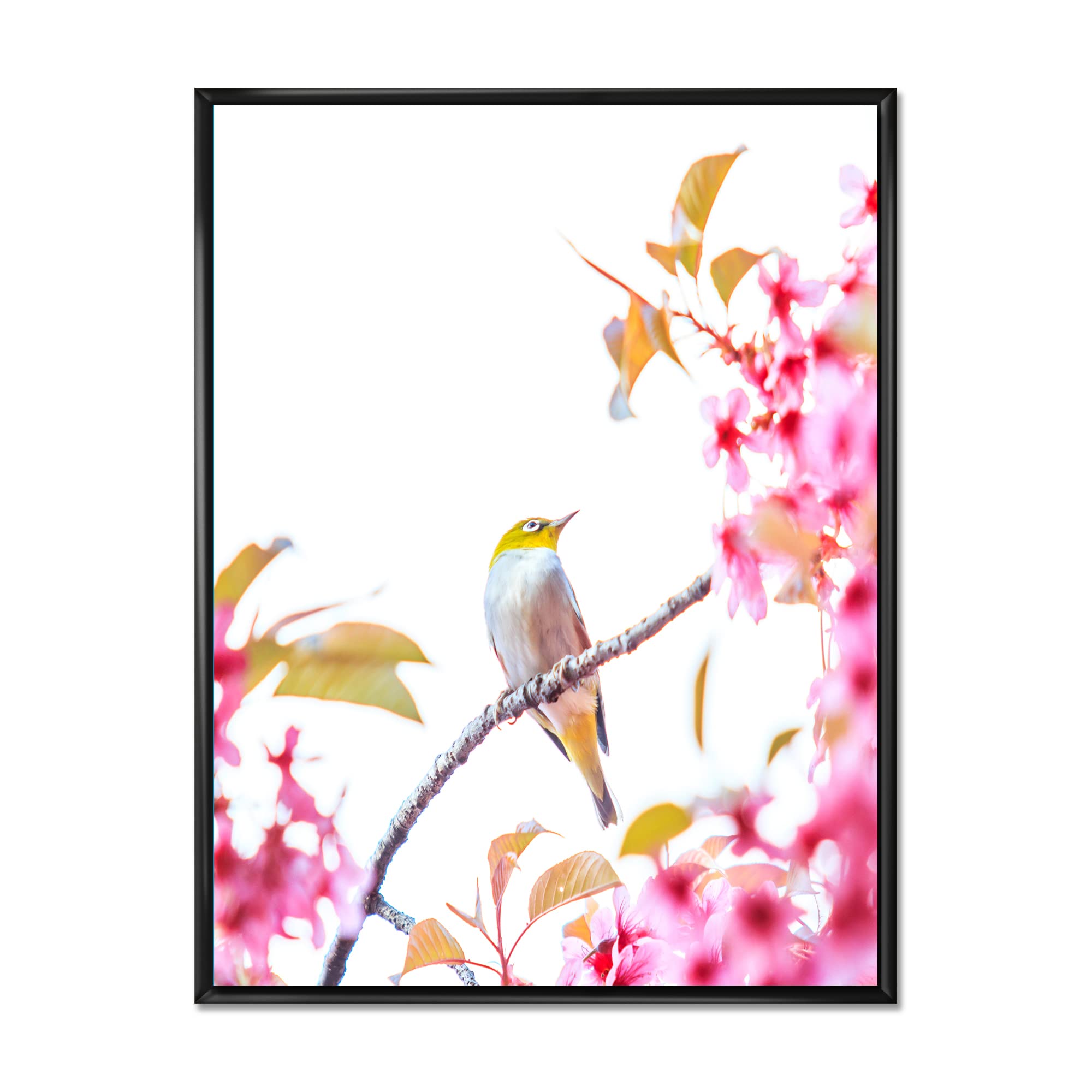 Bird on Cherry Blossom - Traditional Japanese Framed Canvas Wall Art Print - Perfect for Living Room, Bedroom & Office Decor