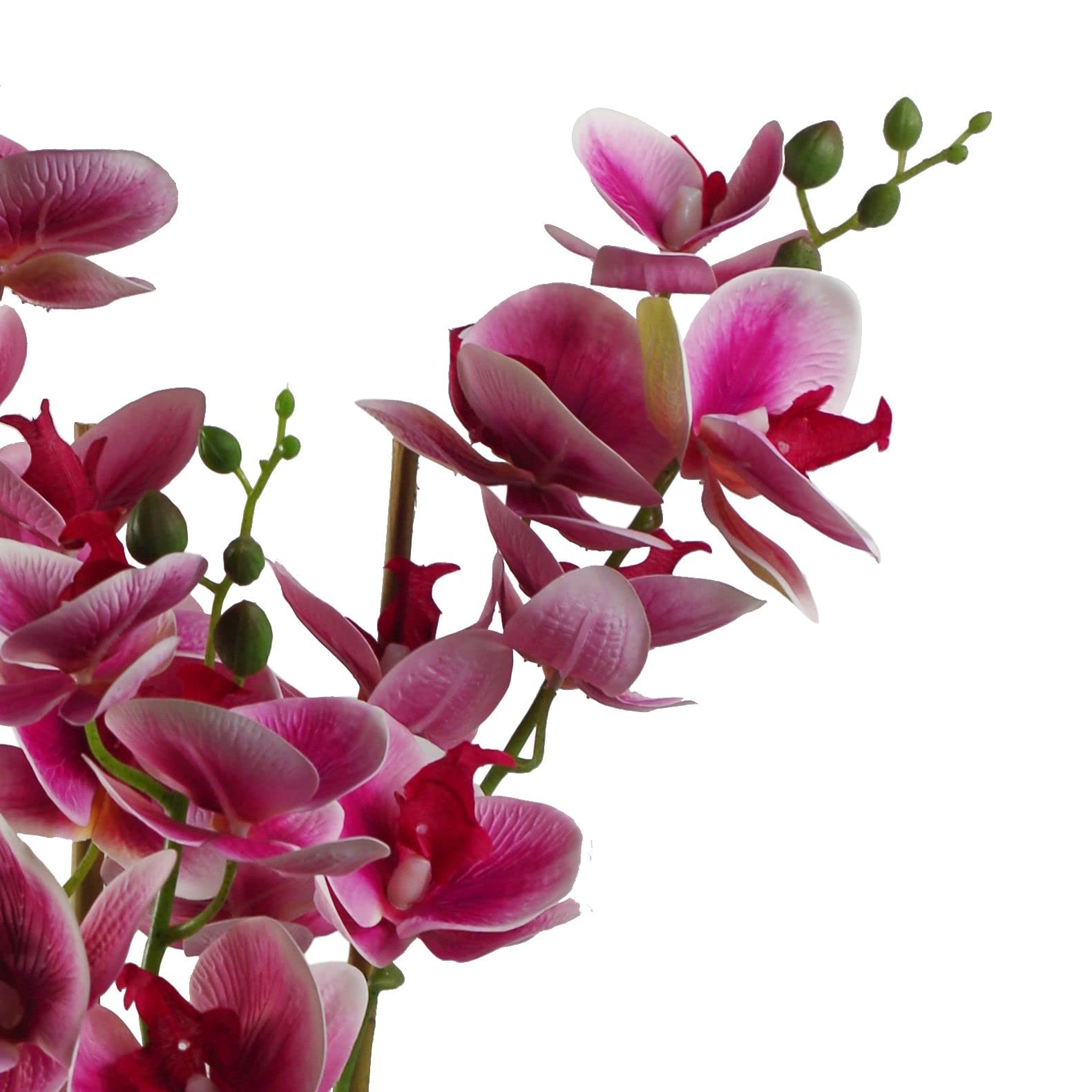 Leaf Design UK Artificial Orchid - Realistic Silk Fake Flowers for Home Decor, Wedding Centerpieces & Office Decoration