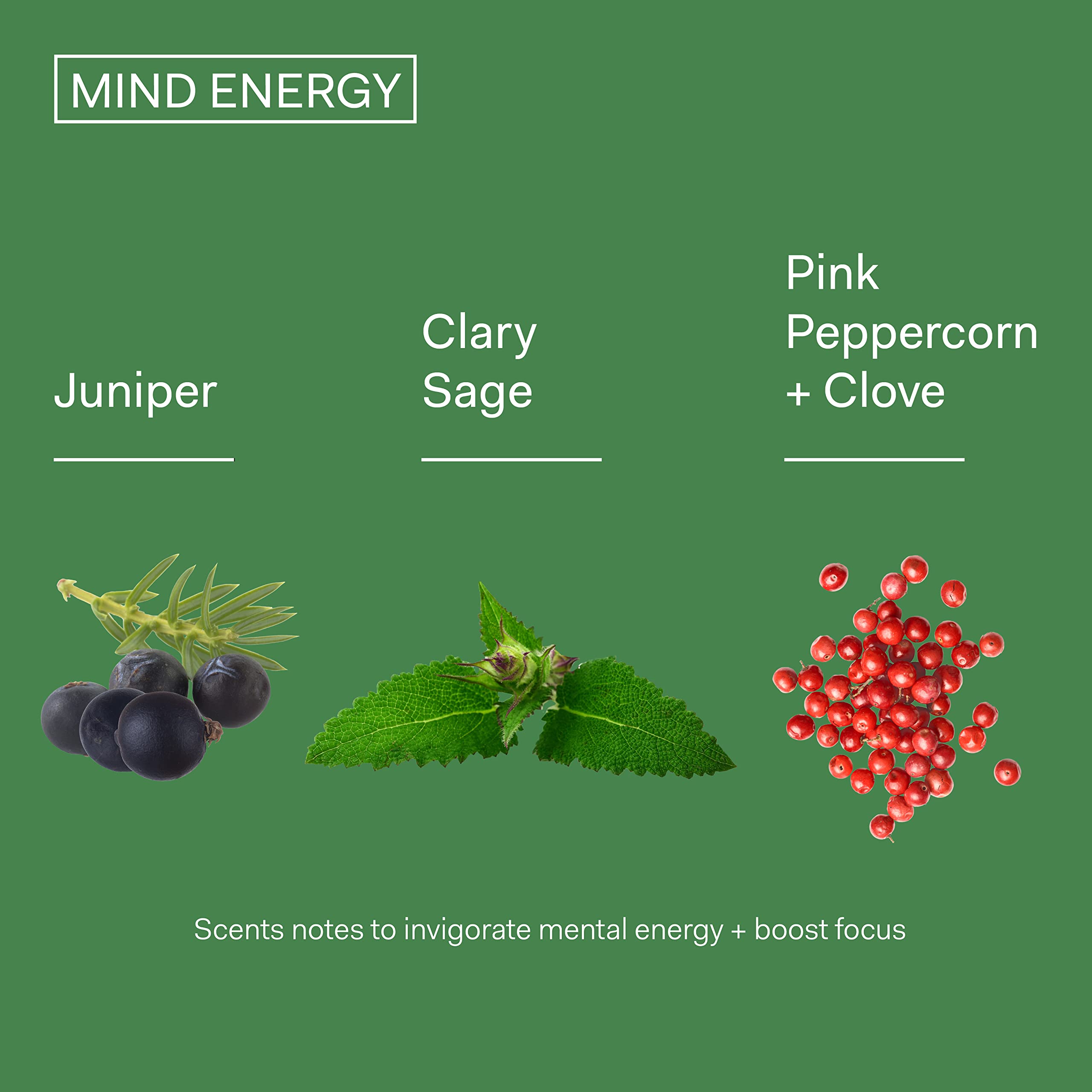 The Nue Co. MIND ENERGY Stress Relief Perfume - Clary Sage, Juniper, Pink Peppercorn & Clove Essential Oils - Vegan, Unisex Eau de Parfum 50mL (1.69 oz) - Perfect for Work, Travel & Daily Relaxation