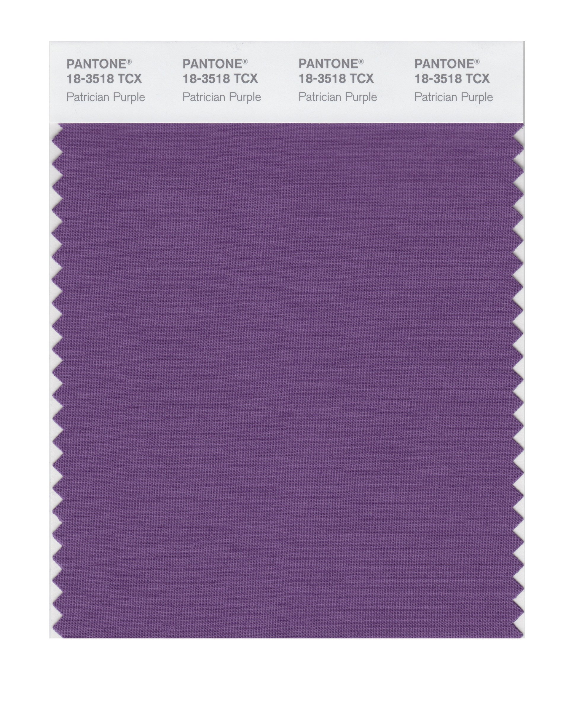 PANTONE Smart 18-3518X Patrician Purple Color Swatch Card | Premium Color Matching Tool for Designers, Artists & Print Professionals | Perfect for Graphic Design, Branding & Color Inspiration