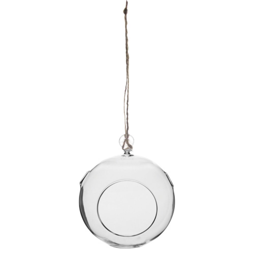 Syndicate Home & Garden Round Glass Hanging Terrarium - Perfect for Indoor Plants, Succulents & Air Plants | Home Decor, Office Decor, Gift Idea
