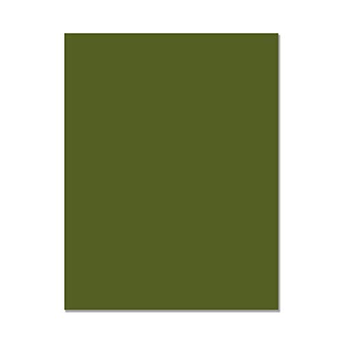 Hero Hues Premium Cardstock Palm