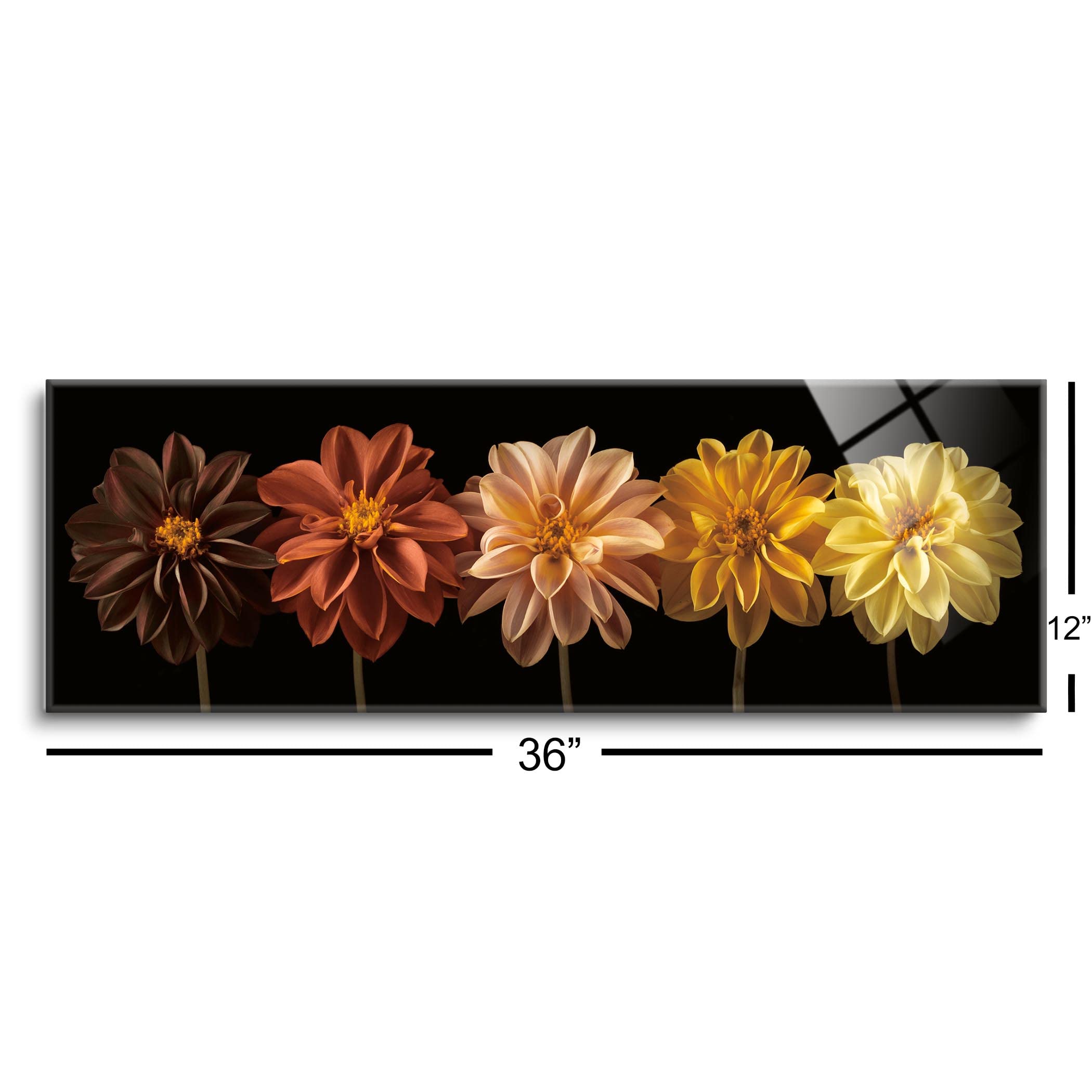 SOULFINE Frameless Tempered Glass Wall Art - 36