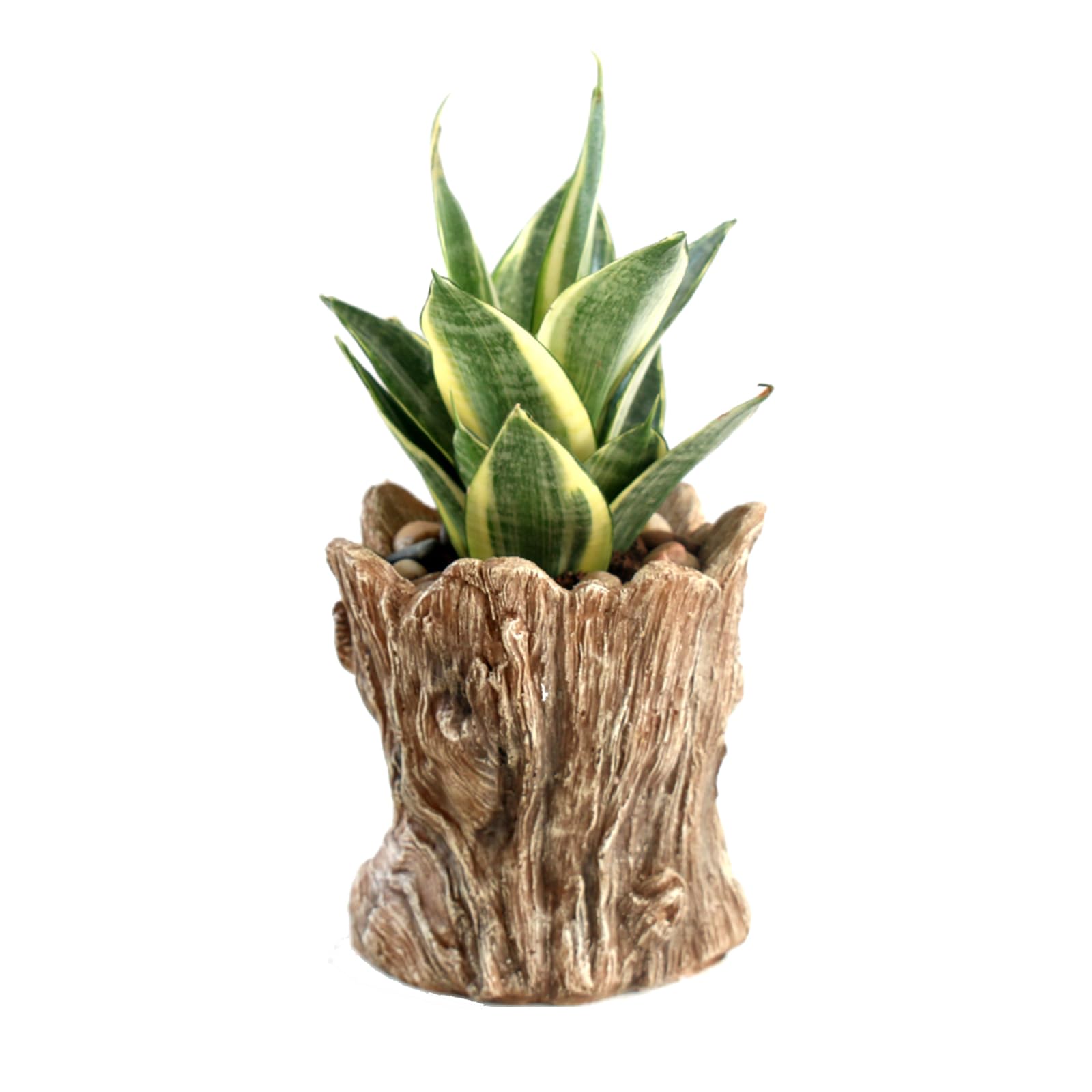 Funny Smiling Face Resin Planter Pot with Drainage Hole - Succulent Plant Holder, Pencil Cup & Desk Organizer for Office, Home Decor & Garden Gifts - Perfect for Indoor Plants, Workspace Organization & Unique Gift Giving