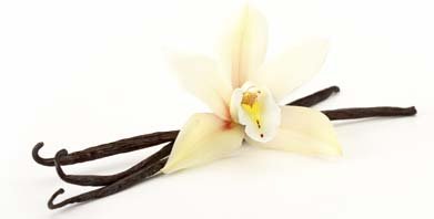 Premium Organic Madagascar Vanilla Bean Pods - Whole Bourbon Grade A Beans for Baking, Cooking & DIY Extracts - Non-GMO, Kosher Certified - 16 oz - Perfect for Cakes, Ice Cream & Homemade Vanilla Gifts