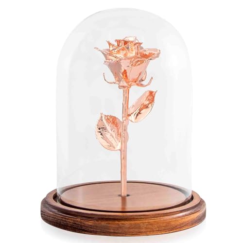 Rose Gold Dipped Rose (With Dome)