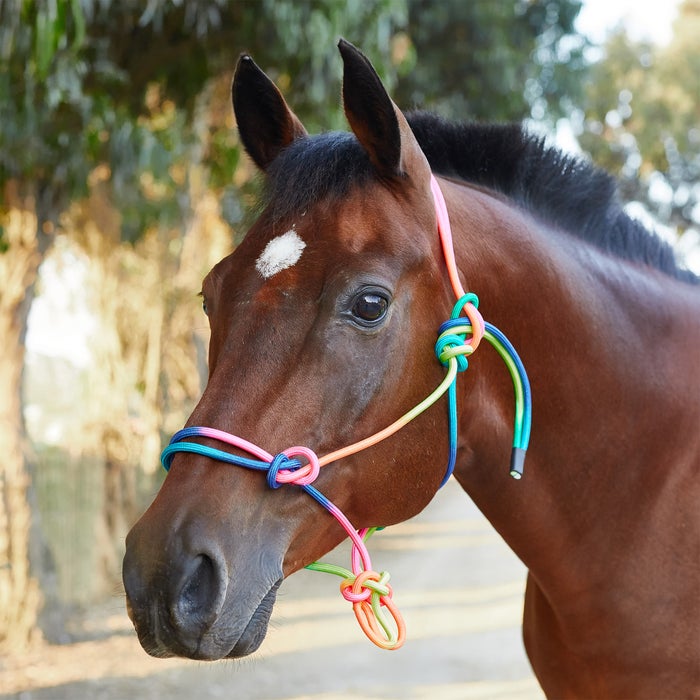 9' Rainbow Poly Lead Rope - Durable Horse Training Lead with Snap Hook - Perfect for Equestrian, Trail Riding, and Stable Use