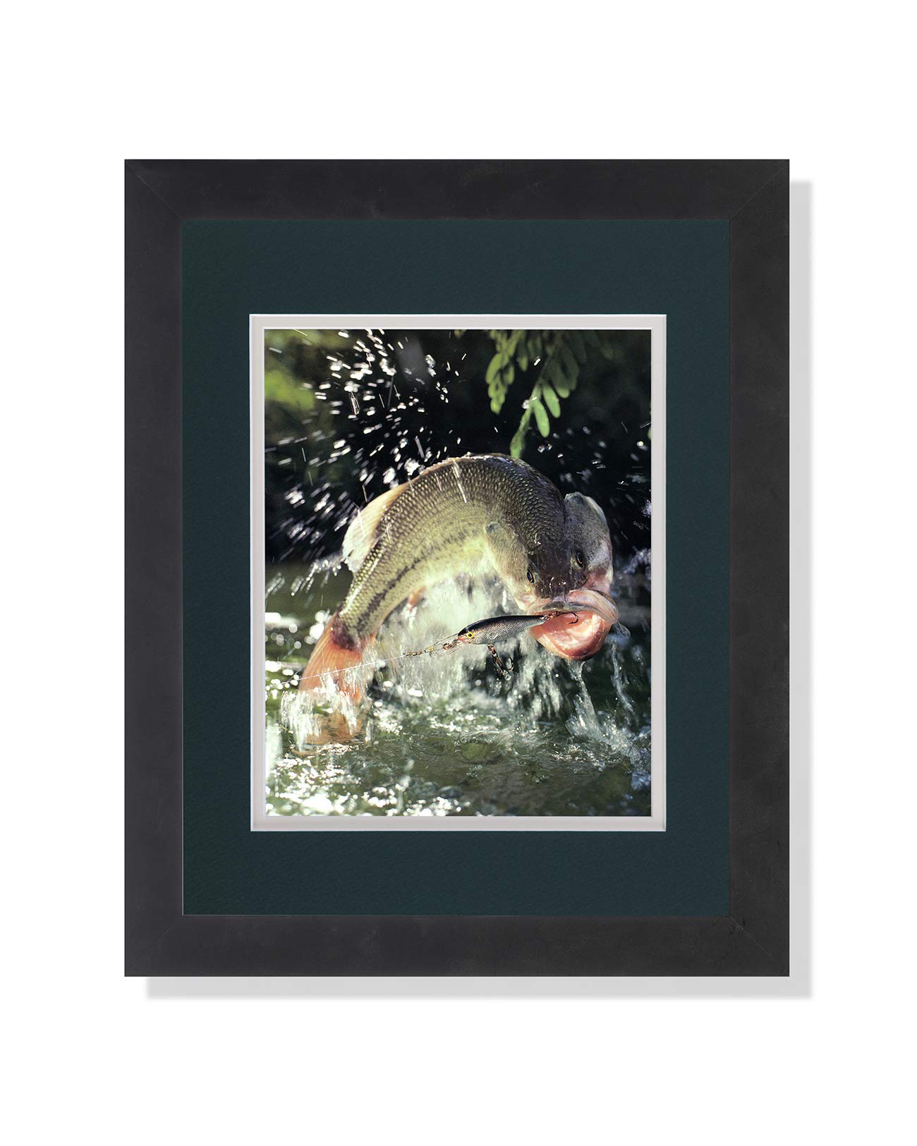 Premium Large Mouth Bass Fishing Lure Wall Art - Framed & Matted Photo Print for Home & Office Decor | Perfect for Angler Gifts & Man Cave Decor