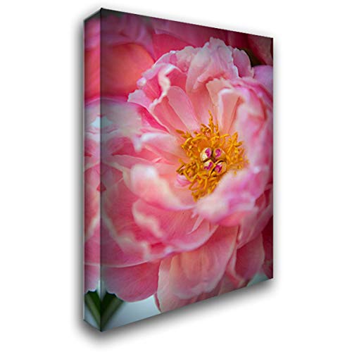 Karyn Millet Pink Peony 16x24 Gallery Wrapped Canvas Art - Floral Wall Decor for Living Room, Bedroom & Office