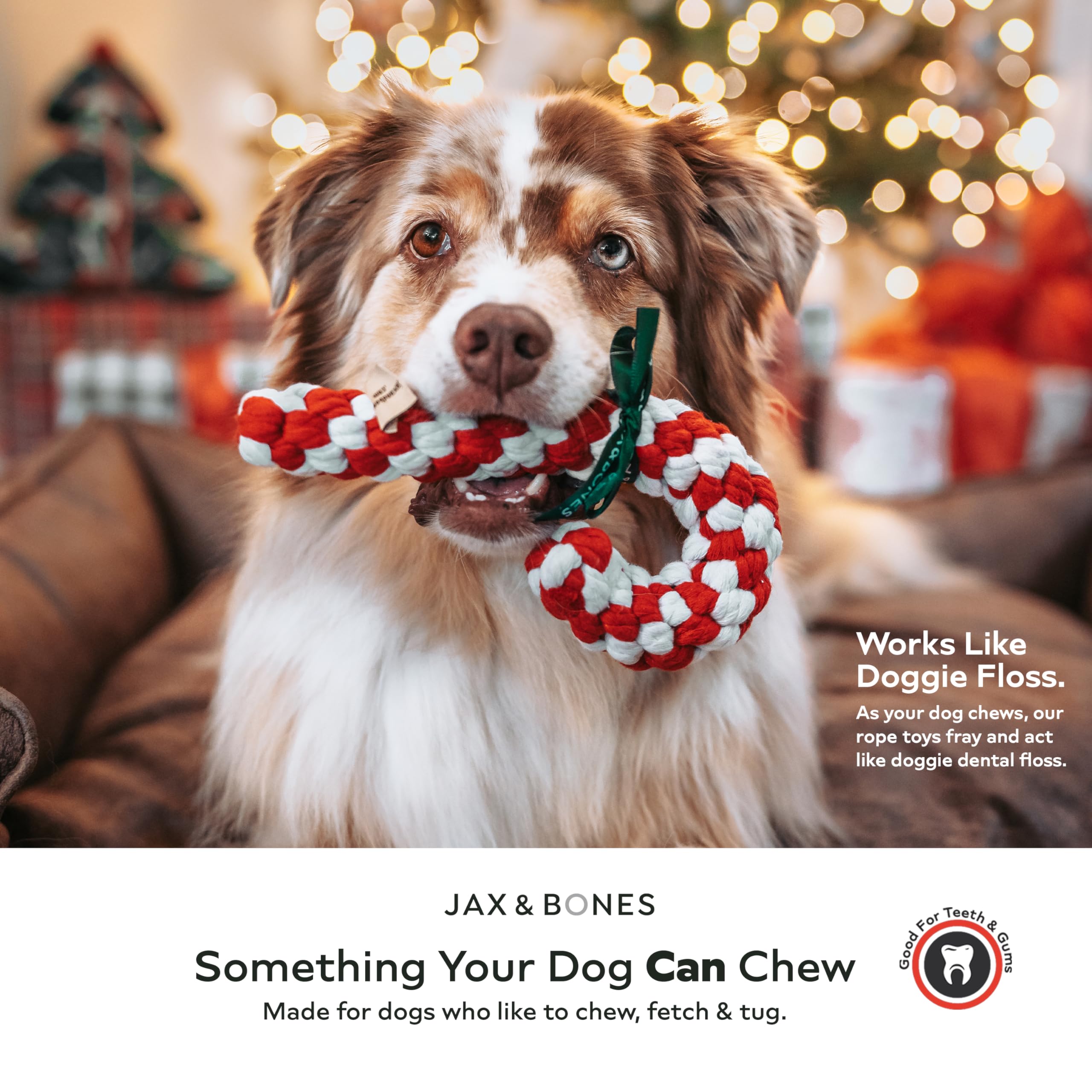 Jax & Bones Dog Rope Toy for Gentle Chewers - 11