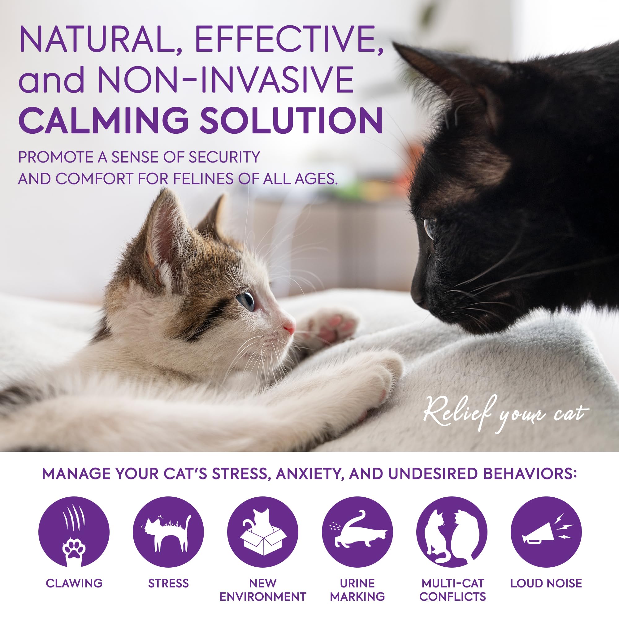 Premium Cat Calming Diffuser Refills (6 Pack) – Vet-Recommended Pheromones for Cat Anxiety Relief – Lasts 4 Months – Stress-Free Home & Travel Solution for Nervous Cats (Purple)