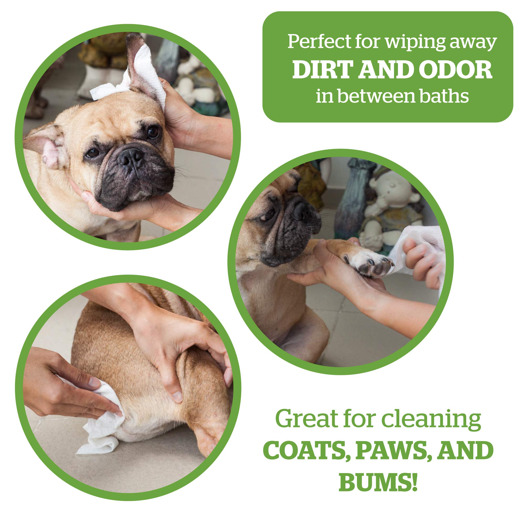Pogi's Poop n' Wipe Combo Pack - 150 Biodegradable Dog Waste Bags & 100 Scented Pet Cleaning Wipes for Dogs | Portable Puppy Potty Essentials for Walking, Travel & Outdoor Adventures