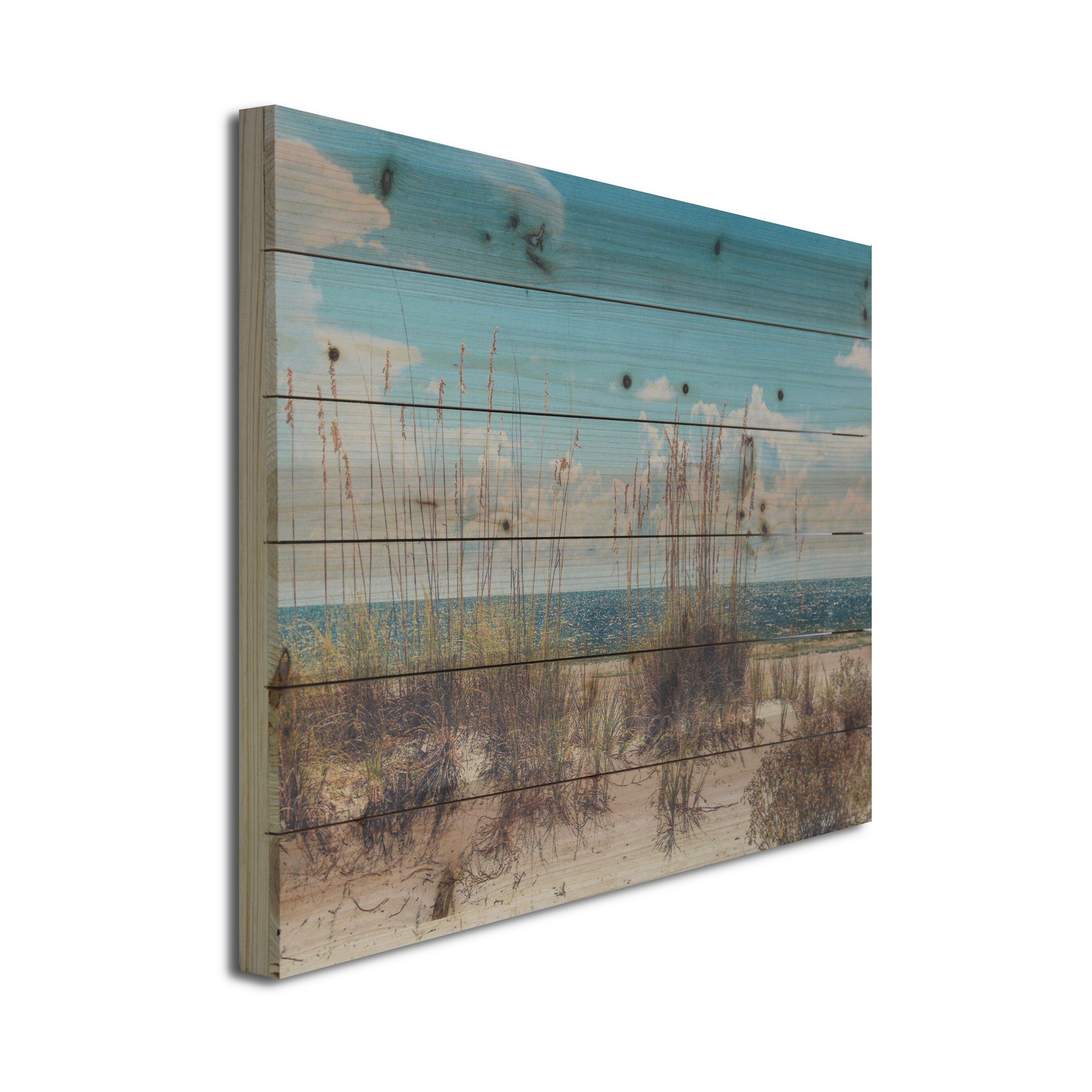 Beach Sand Dunes Landscape Photo Print on Reclaimed Wood Wall Art - Coastal Home Decor for Living Room, Bedroom & Office
