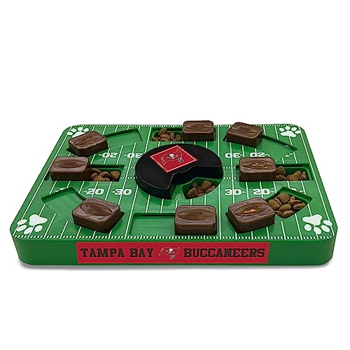 TAMPA BAY BUCCANEERS
