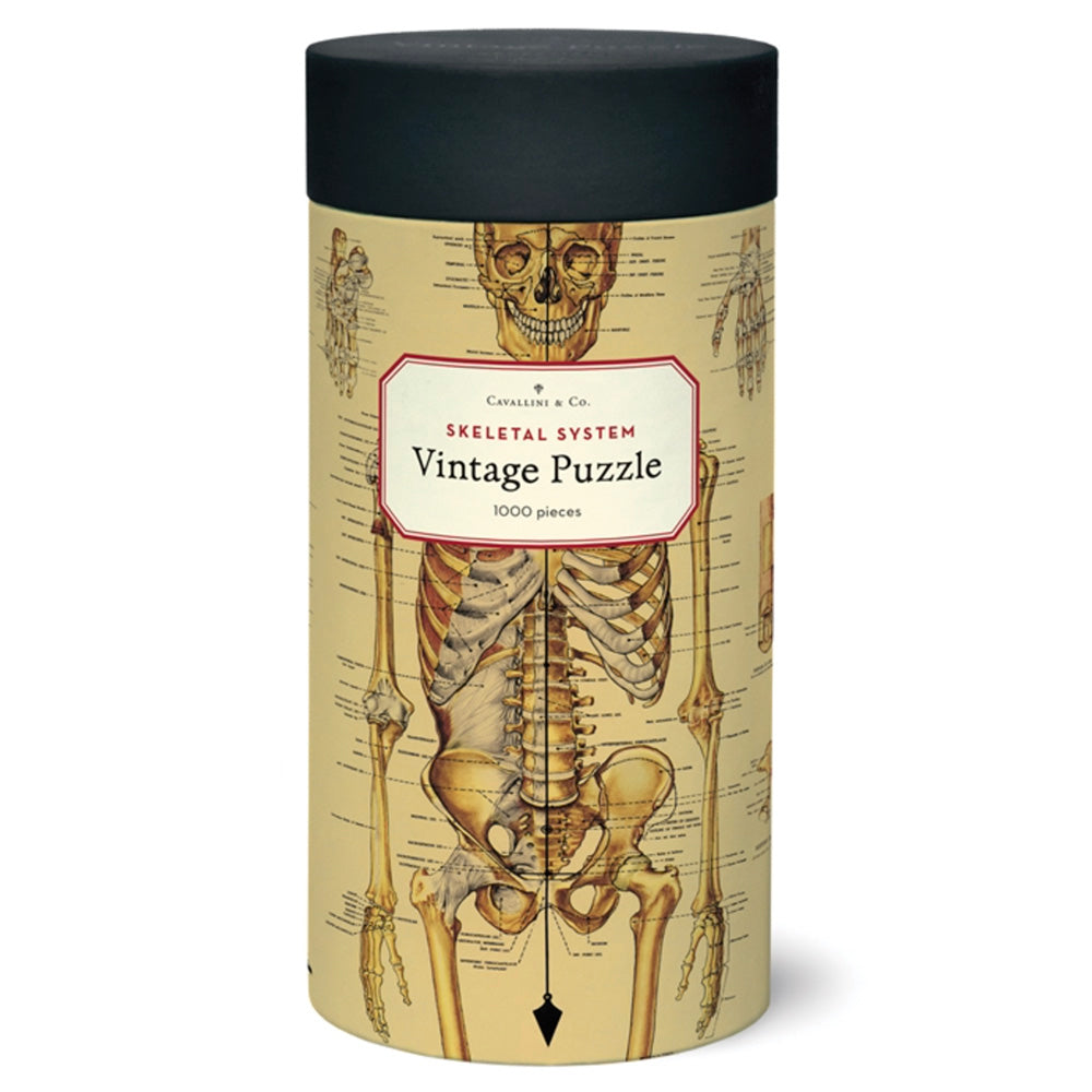 1000 Piece Skeletal System Jigsaw Puzzle - Human Anatomy Educational Toy for Adults & Teens - Perfect for Science Classrooms, Medical Students & Puzzle Enthusiasts