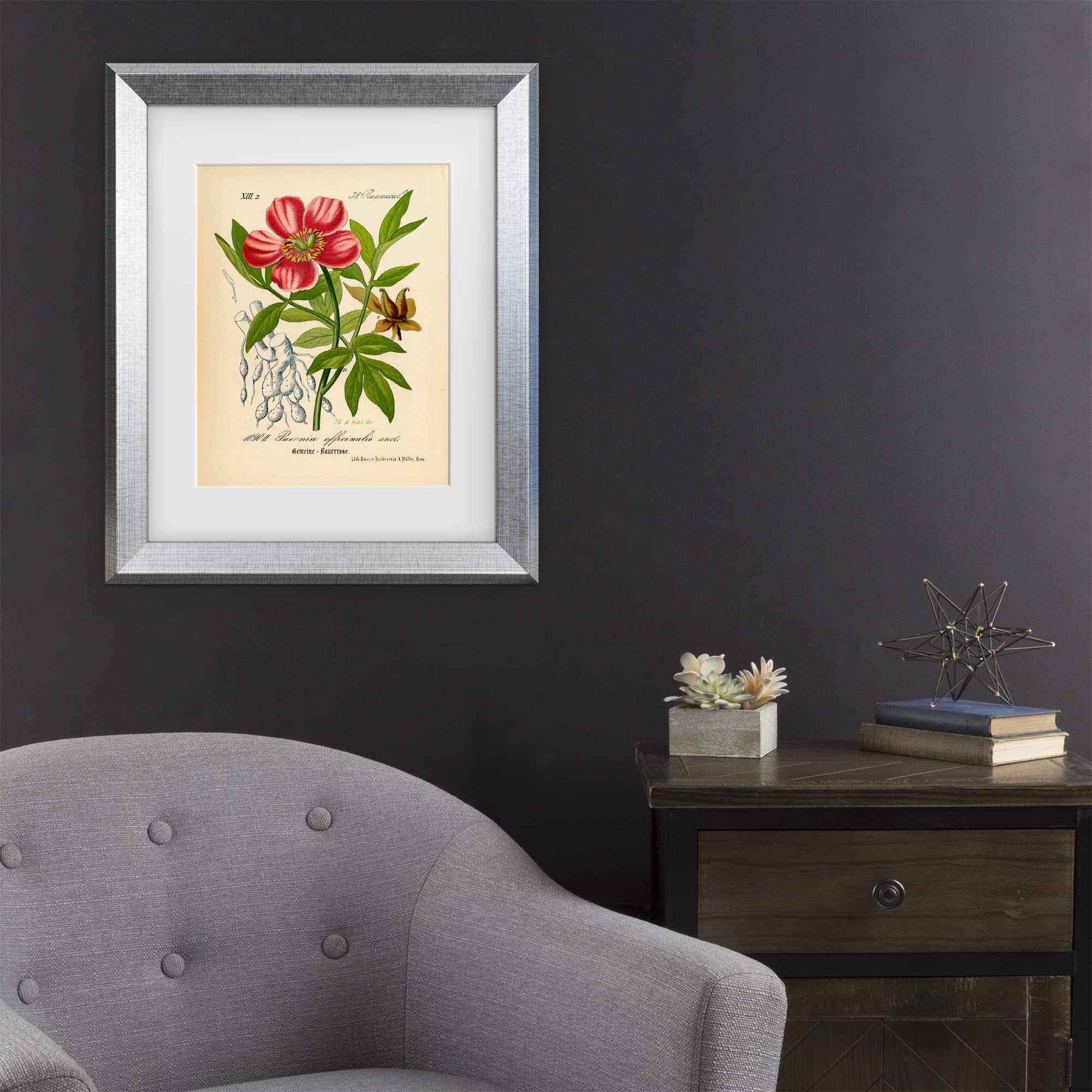 Trademark Fine Art 'Paeonia Officinalis' Floral Canvas Wall Art Print by Art Licensing Studio - Perfect for Living Room, Bedroom & Office Decor