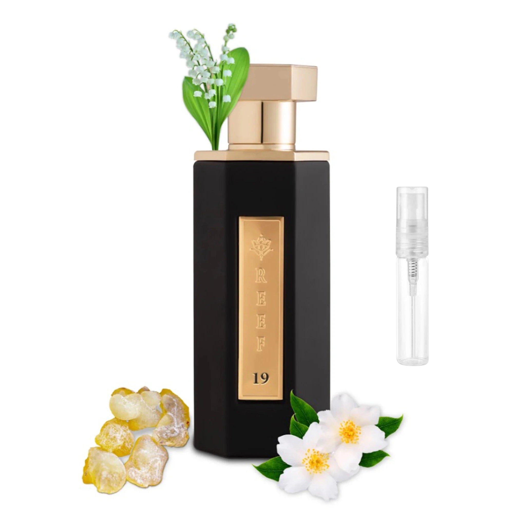 REEF 19 Eau De Parfum Sample - 2ml Travel Size Luxury Fragrance for Women & Men | Perfect for Testing, Gifts & On-the-Go Use