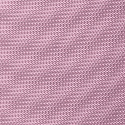 Orchid Pink Purple