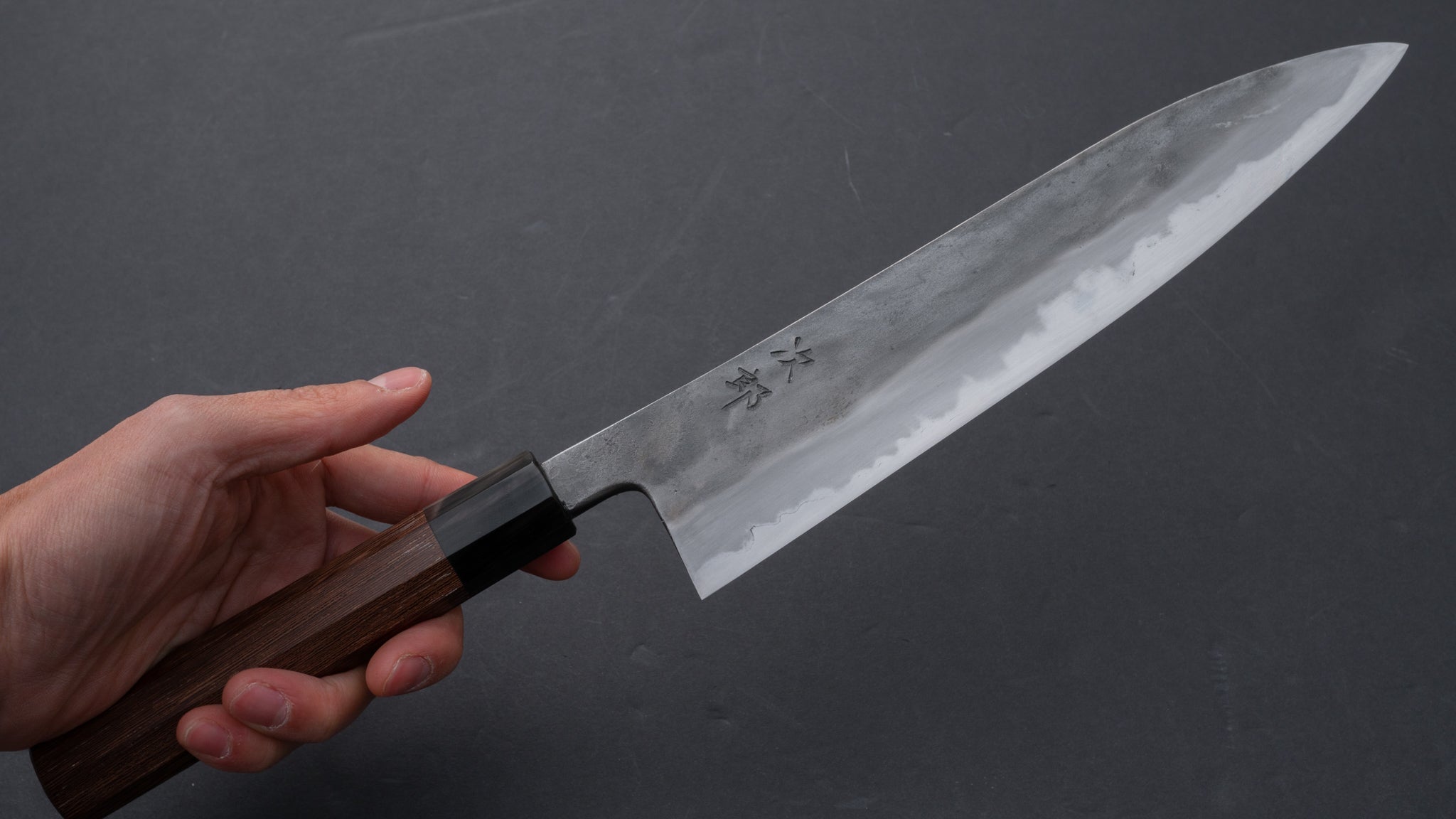 Premium Jiro Tsuchime Wa Gyuto 240mm Japanese Chef Knife with Taihei Tagayasan Handle (#058) - Perfect for Professional Chefs & Home Cooking Enthusiasts