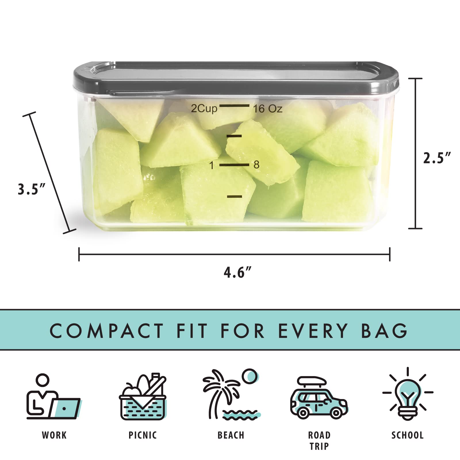 Fit & Fresh 16 oz Small Plastic Food Storage Containers with Lids - 4 Pack Reusable Leakproof Snack Containers for Adults & Kids - Perfect for Salads, Dressings, Condiments & On-the-Go Meals - Includes 2 Attachable Ice Packs for Freshness