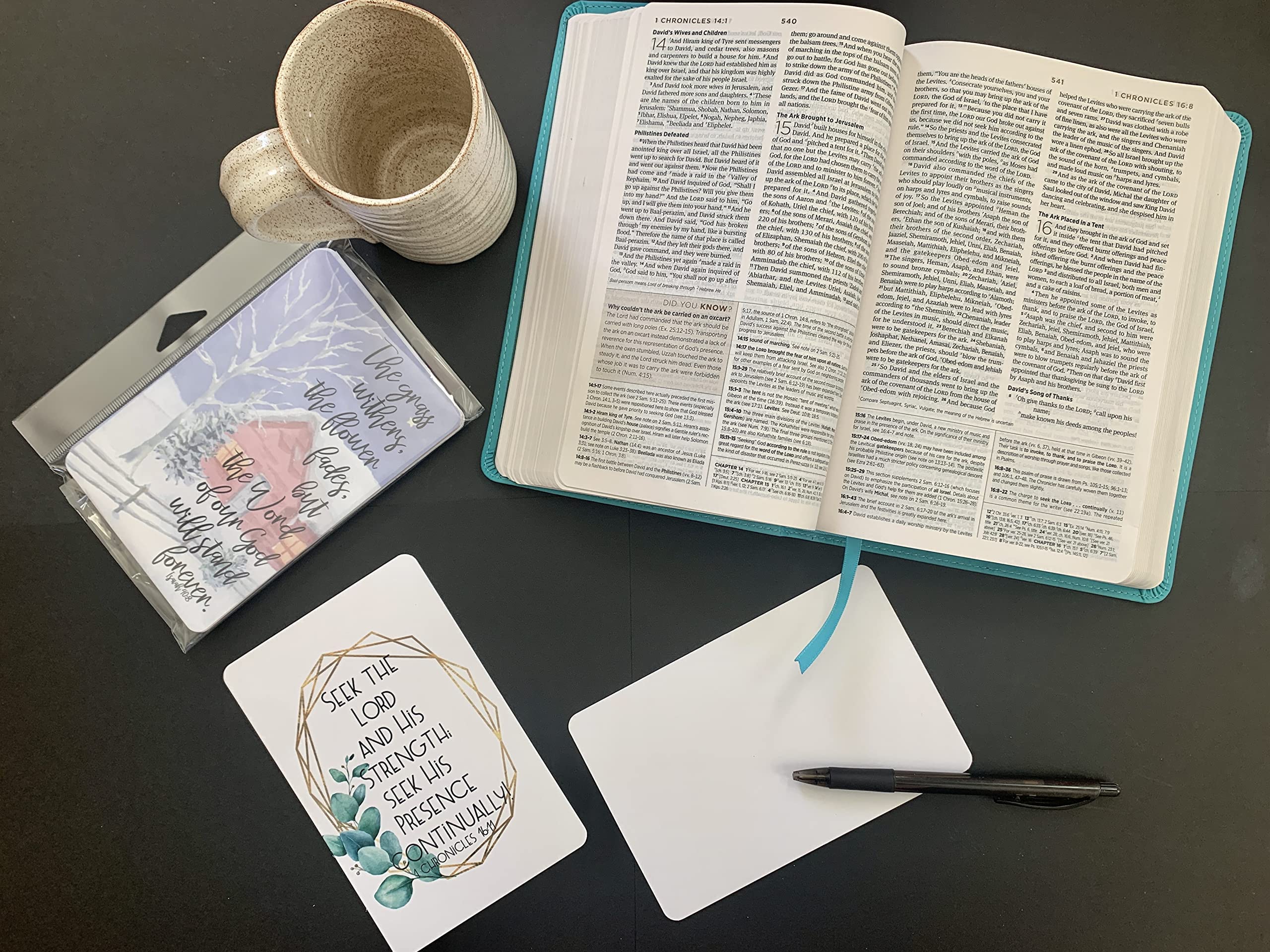 Red Door Inspirations Monthly Scripture Memory Cards - 12 Count ESV Bible Verse Cards for Daily Devotion, Bible Study & Christian Gift Giving