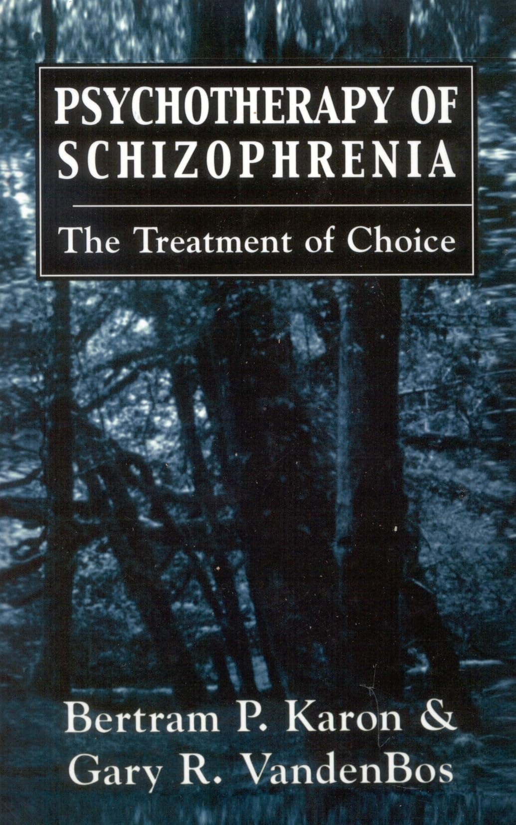 Best Psychotherapy for Schizophrenia - Effective Treatment Options & Coping Strategies | Professional Mental Health Care for Schizophrenia Patients
