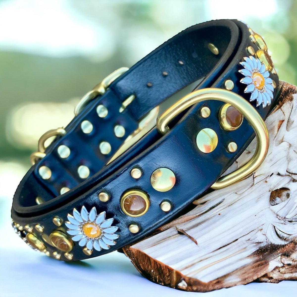 Premium Genuine Leather Dog Collar - Kalina Collection | Adjustable & Durable Pet Collar for Small Medium Large Dogs | Perfect for Daily Walks, Training & Outdoor Adventures