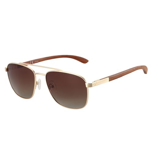 Gold Frame Brown Gradient Lens
