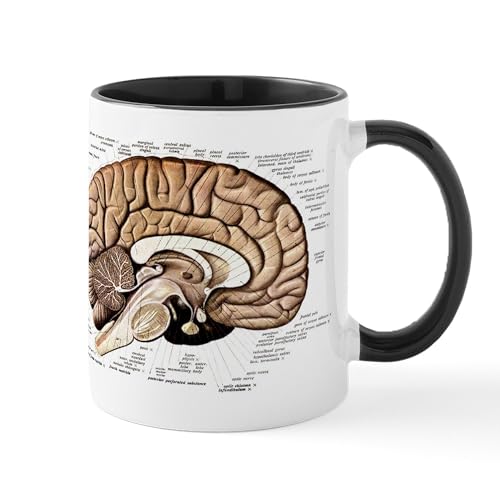 White/Black Inside - Human Brain Mug