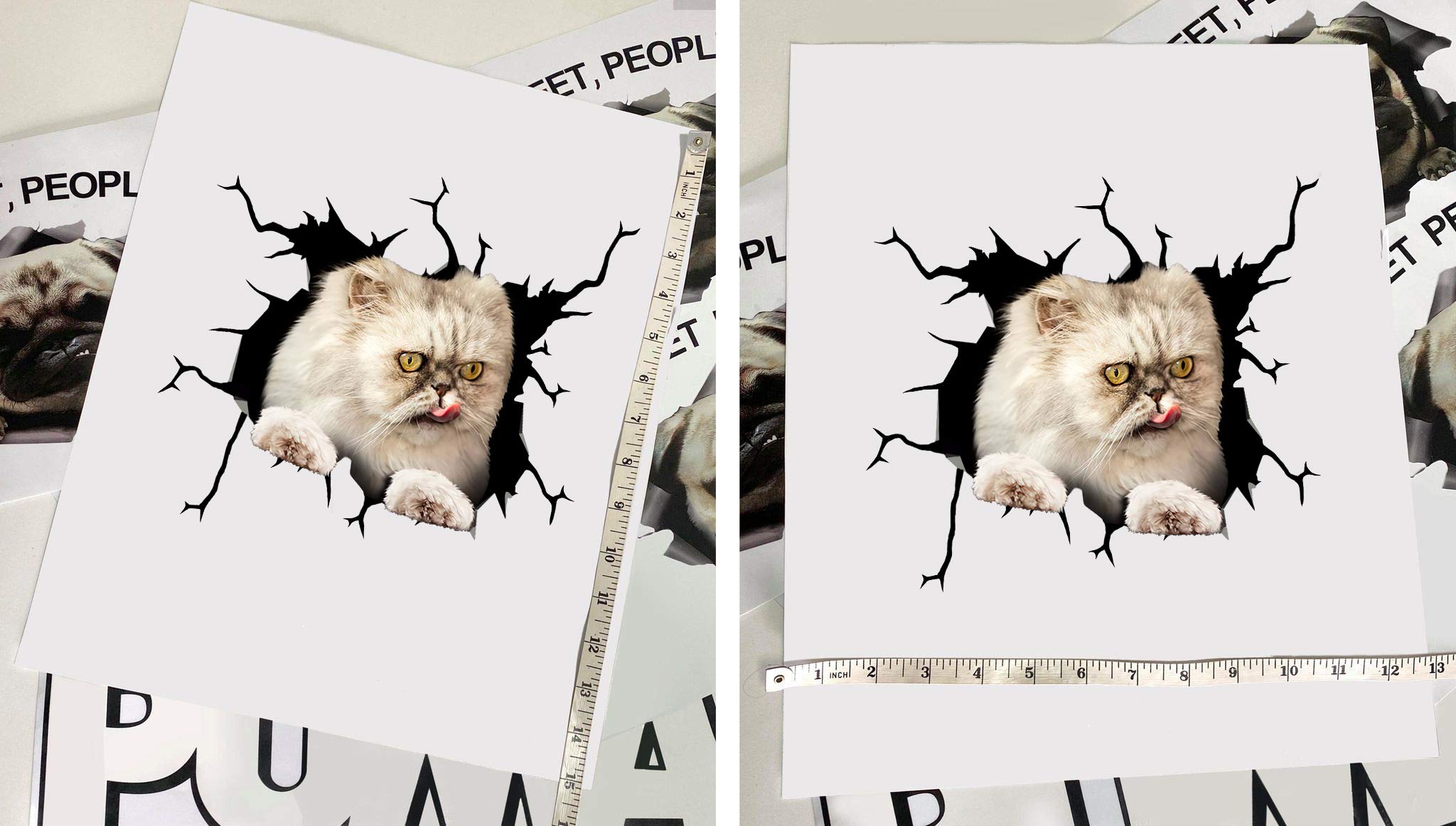 Persian Cat Car Decals - Pack of 2 Premium 12