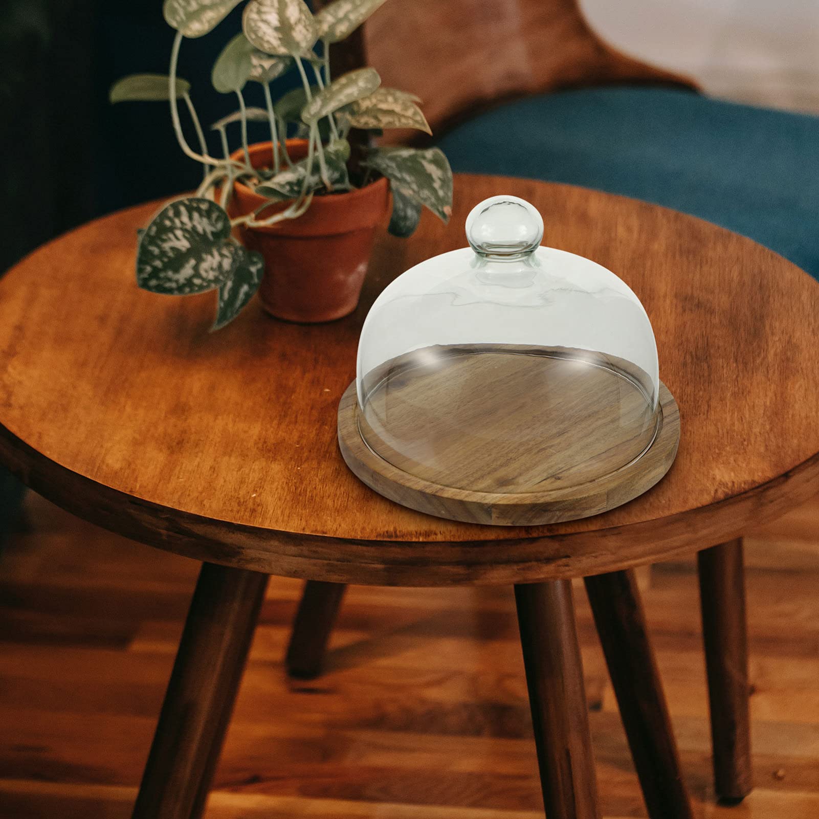 Premium Glass Cake Stand with Dome Cover - European Style Rotating Dessert Display for Cupcakes, Mini Pastries & Fruit - Perfect for Parties, Weddings & Tea Time