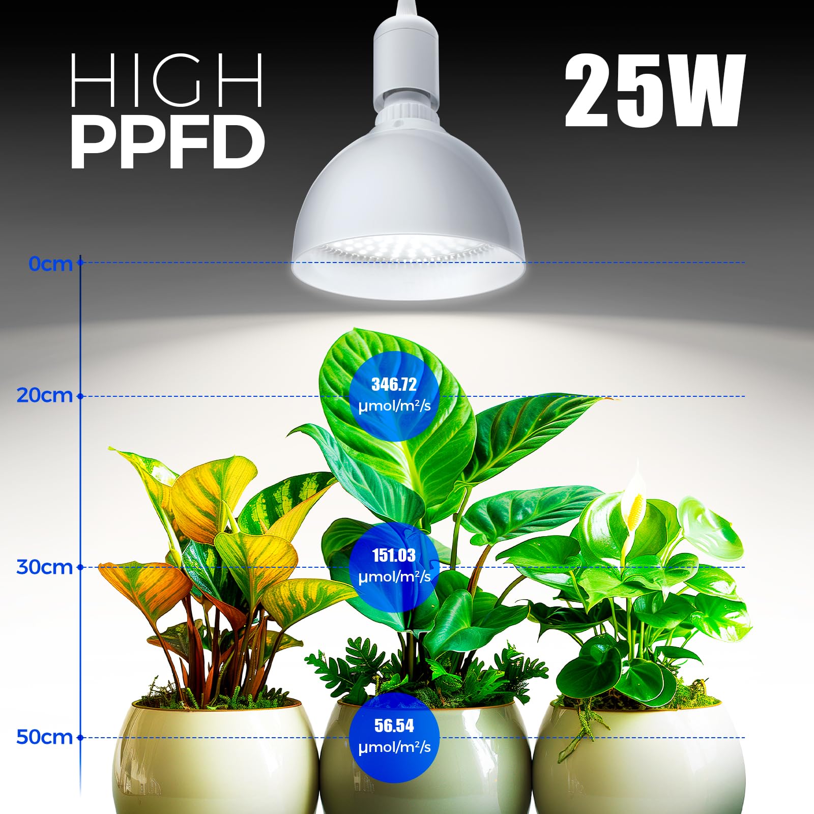 Barrina 25W Full Spectrum LED Grow Light Bulb with Timer - 4H/9H/14H Auto Timing & Hanging System - 16.4FT Power Cord for Indoor Plants - Perfect for Hydroponics, Greenhouses, and Home Gardening