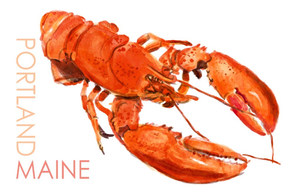 Portland Maine Lobster Watercolor Art Print - 24x36 Gallery Quality Metal Wall Decor, Aluminum Sign for Kitchen, Restaurant & Coastal Home Decor
