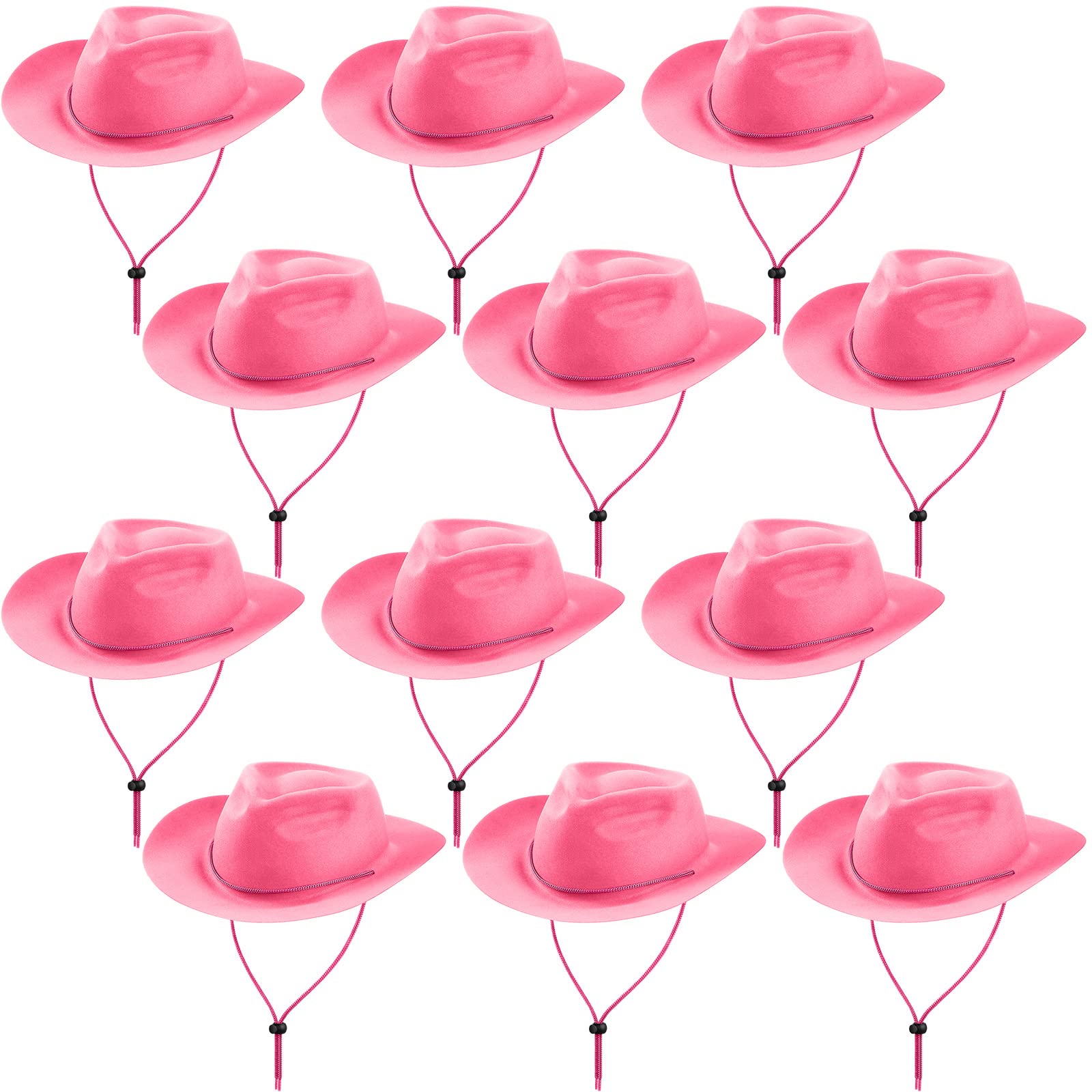 Hicarer 12-Piece Western Cowboy Hat Set - Plastic Felt Wide Brim Cowboy & Cowgirl Hats for Men & Women - Costume Party, Halloween, Themed Events, and Western Dress-Up