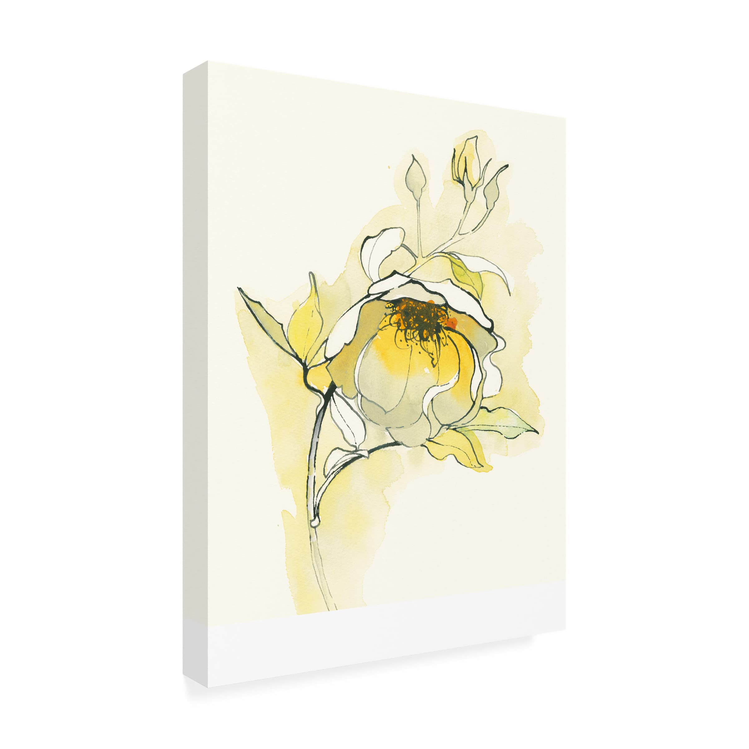 Shirley Novak 'Carols Roses V' Floral Canvas Wall Art Print - Handmade Home Decor for Living Room, Bedroom & Office