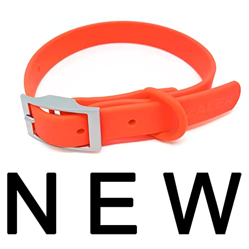 Bright Orange