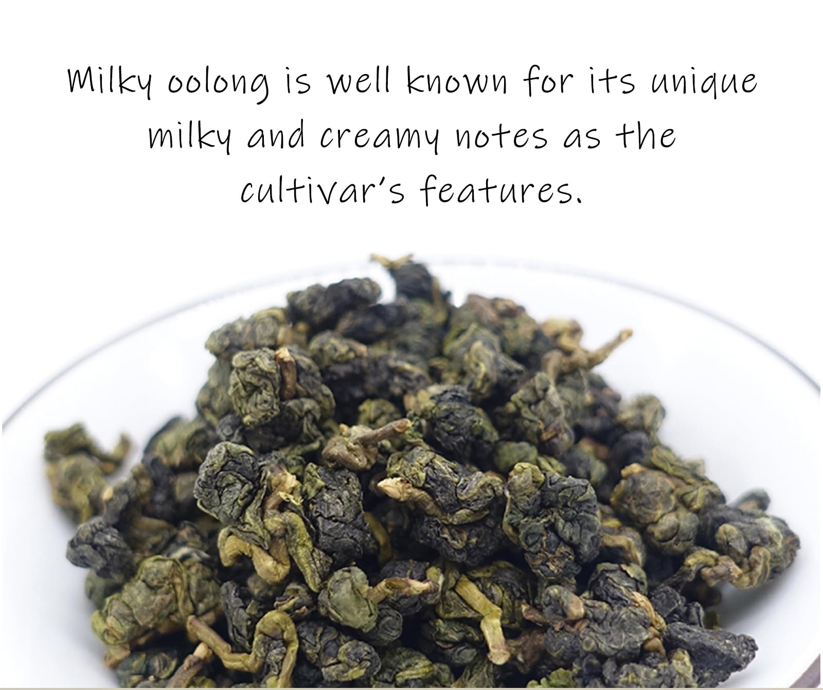 Premium Taiwan JinXuan Milky Oolong Tea - Loose Leaf Formosa Oolong with Floral & Creamy Notes - 4oz Gongfu Tea Gift Pack - Perfect for Afternoon Tea, Relaxation & Special Occasions